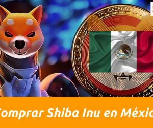 comprar la criptomoneda shina inu en mexico