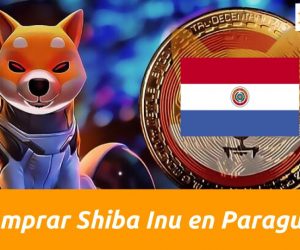 comprar la criptomoneda shina inu en paraguay