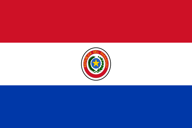 como comprar NEAR Protocol en Paraguay